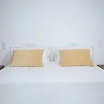 Casa Dos Junqueiros - Countryside *