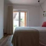 Casa Dos Junqueiros - Countryside Caldas Da Rainha