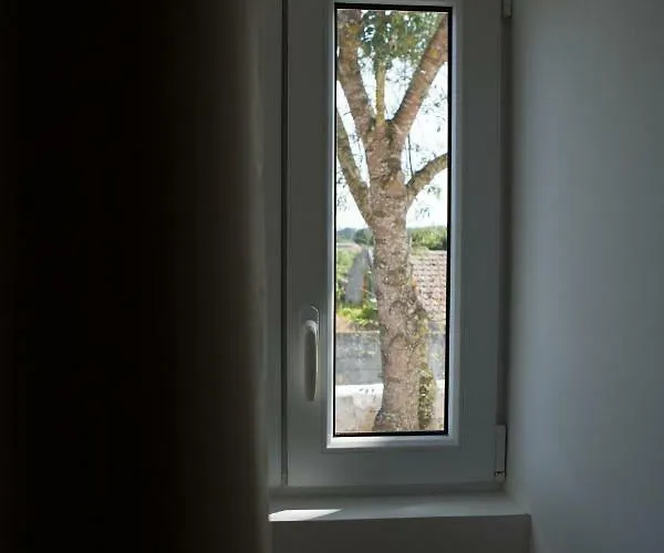 Casa Dos Junqueiros - Countryside * Caldas Da Rainha