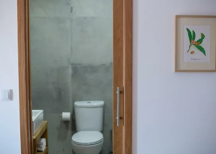 Casa Dos Junqueiros - Countryside Casa vacanze Caldas Da Rainha